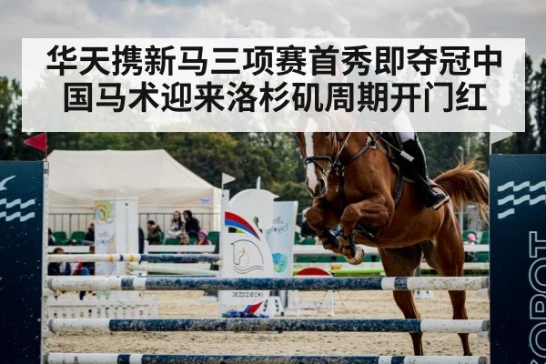 show jumping horse